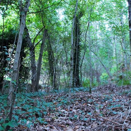 ホテルEco Camping Juncal Marco de Canavezes エクステリア 写真