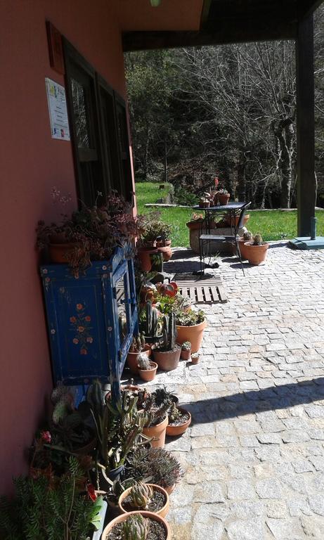 ホテルEco Camping Juncal Marco de Canavezes エクステリア 写真
