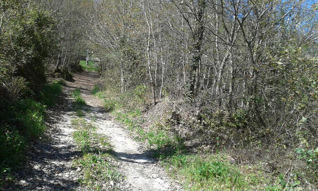 ホテルEco Camping Juncal Marco de Canavezes エクステリア 写真