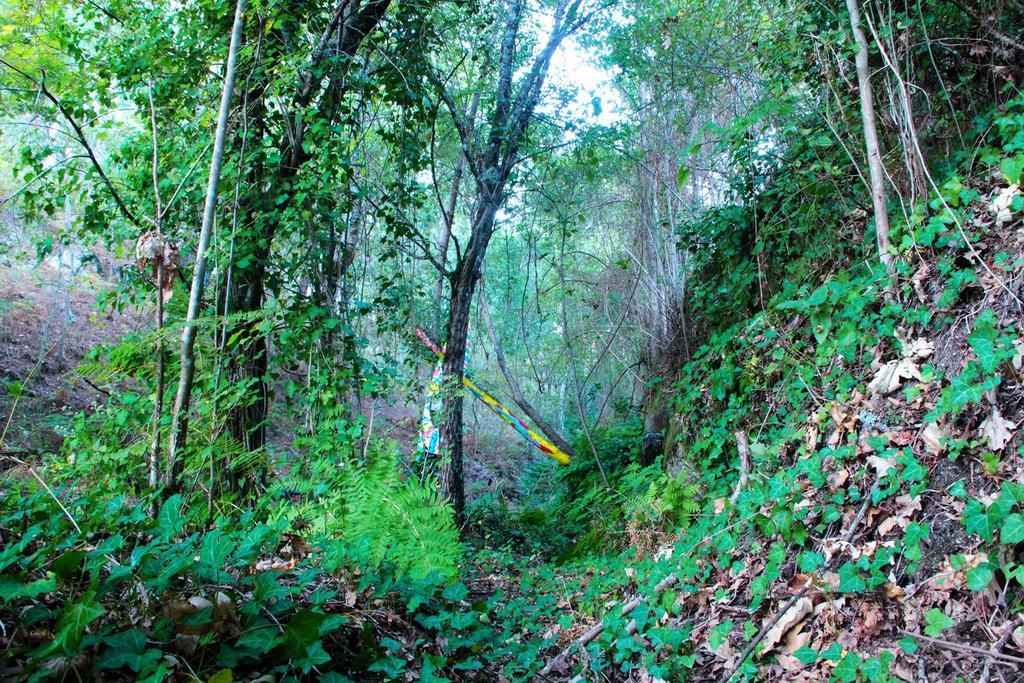 ホテルEco Camping Juncal Marco de Canavezes エクステリア 写真