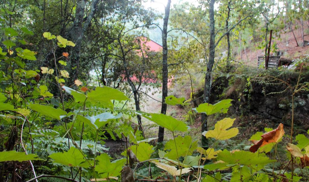 ホテルEco Camping Juncal Marco de Canavezes エクステリア 写真
