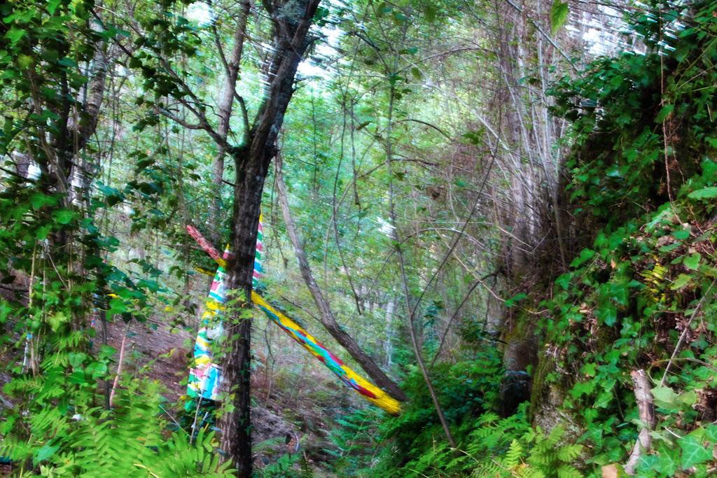 ホテルEco Camping Juncal Marco de Canavezes エクステリア 写真