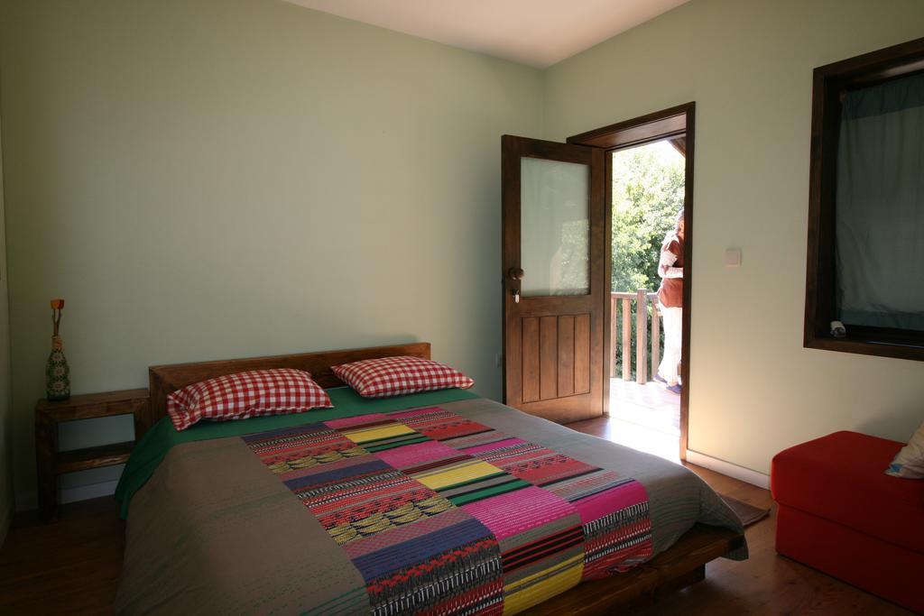 ホテルEco Camping Juncal Marco de Canavezes エクステリア 写真
